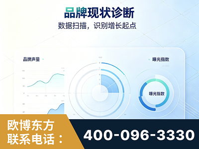 瑞昌-品牌现状诊断