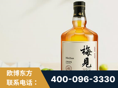 瑞昌-梅见青梅酒